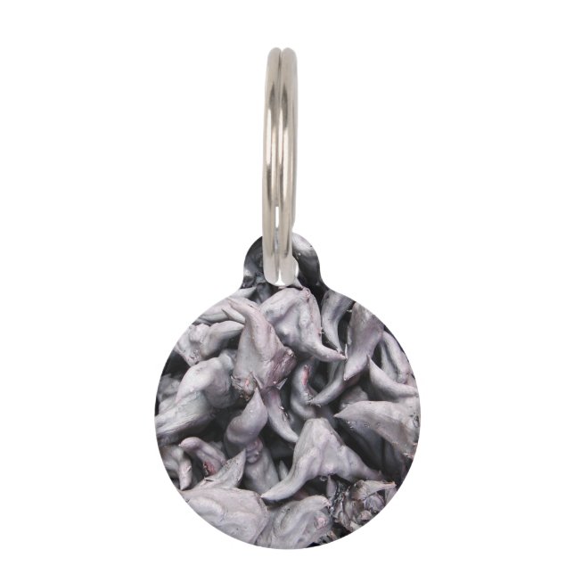 Buffalo Nuts - Water Caltrop Pet Tag (Front)