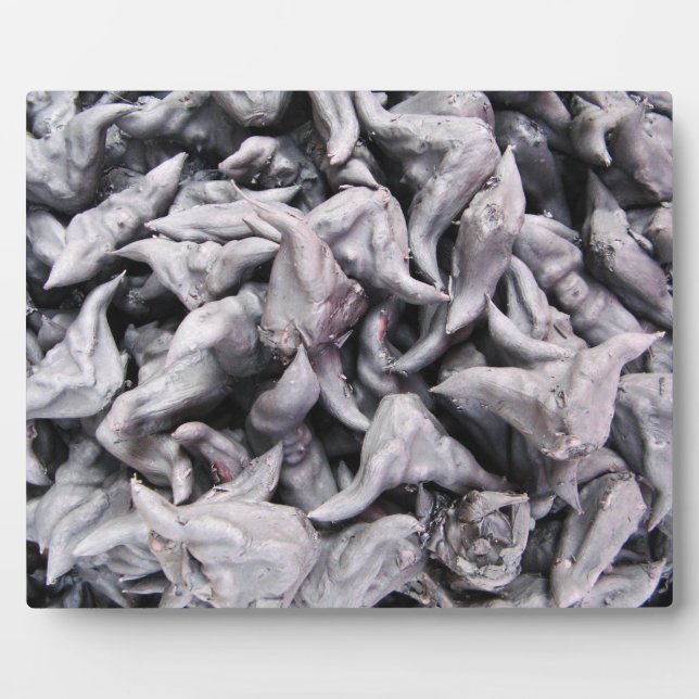 Buffalo Nuts - Water Caltrop Plaque (Front)