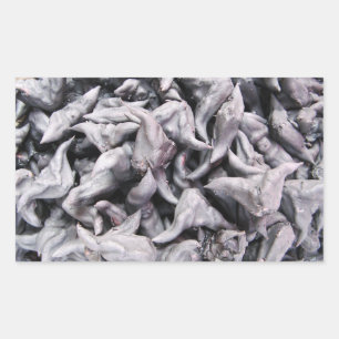 Buffalo Nuts - Water Caltrop Rectangular Sticker
