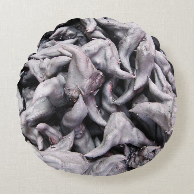 Buffalo Nuts - Water Caltrop Round Cushion (Front)