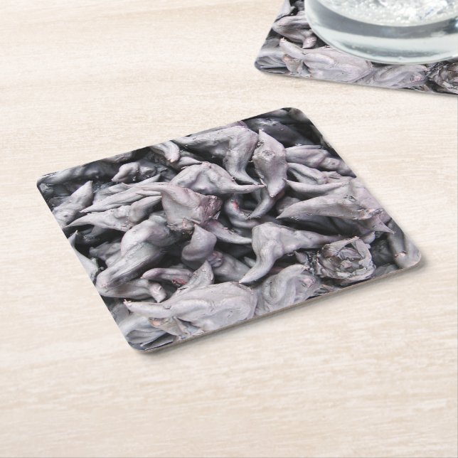 Buffalo Nuts - Water Caltrop Square Paper Coaster (Angled)