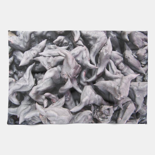 Buffalo Nuts - Water Caltrop Tea Towel (Horizontal)