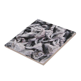 Buffalo Nuts - Water Caltrop Tile