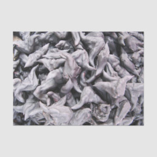 Buffalo Nuts - Water Caltrop Tissue Paper