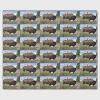 Buffalo on sunny day wrapping paper