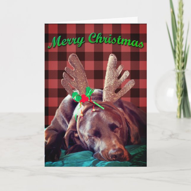Buffalo Plaid Labrador Wearing Antlers Photograph  Holiday Card (Front)