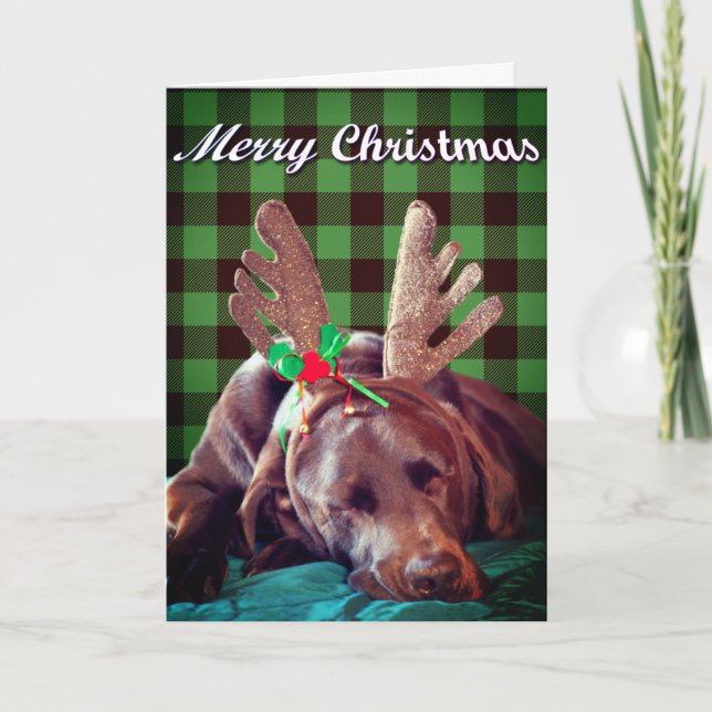 Buffalo Plaid Labrador Wearing Antlers Photograph  Holiday Card (Front)