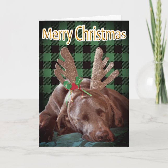 Buffalo Plaid Labrador Wearing Antlers Photograph  Holiday Card (Front)