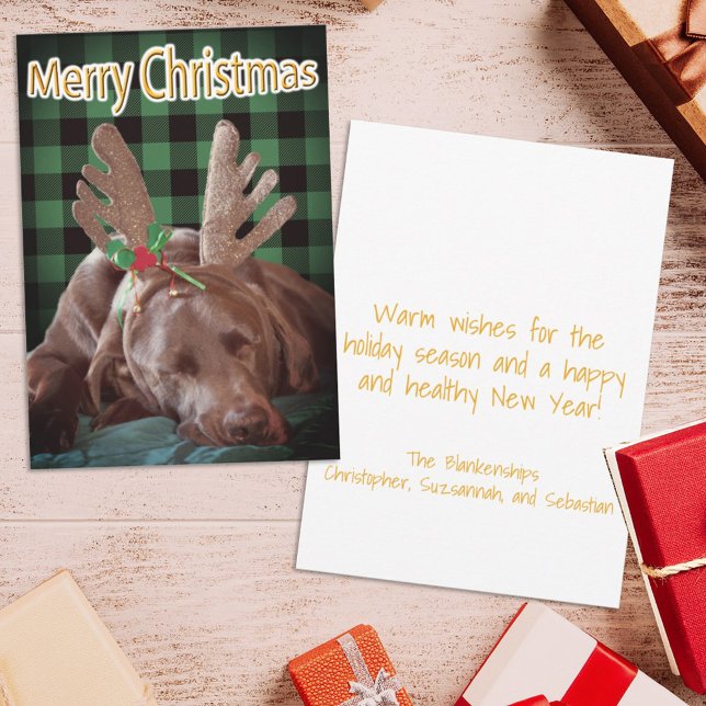 Buffalo Plaid Labrador Wearing Antlers Photograph Holiday Card (Creator Uploaded)