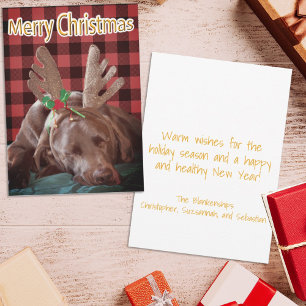 Buffalo Plaid Labrador Wearing Antlers Photograph Holiday Card