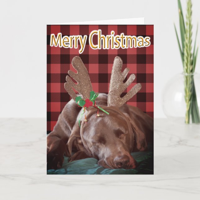 Buffalo Plaid Labrador Wearing Antlers Photograph  Holiday Card (Front)