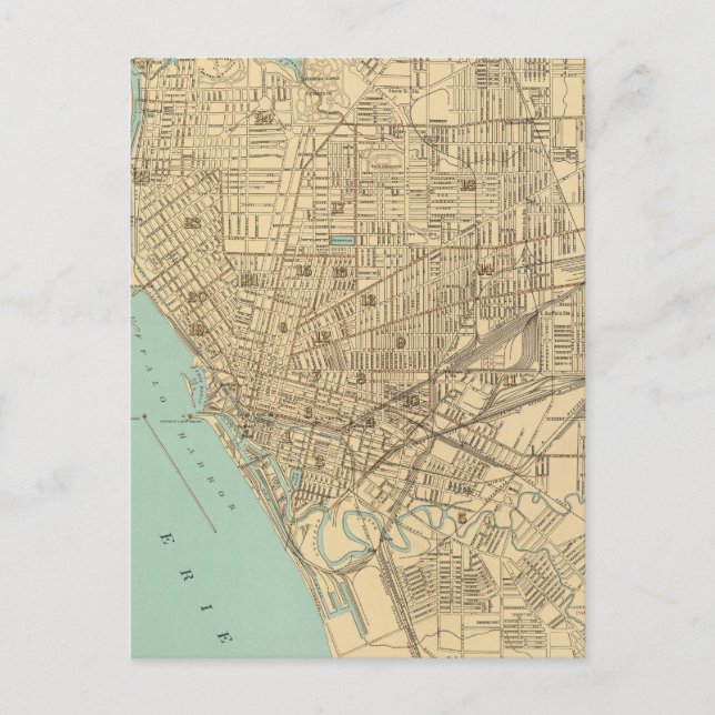 Buffalo Postcard (Front)