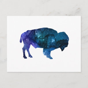 Buffalo Postcard