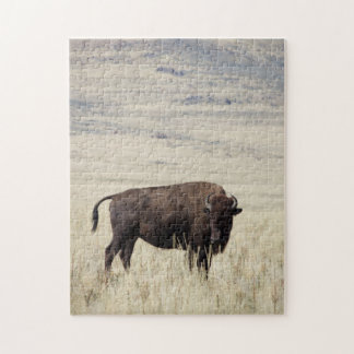 Buffalo Puzzle