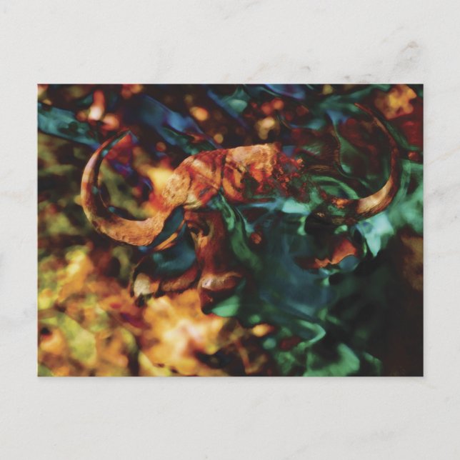 Buffalo Ripple art Postcard (Front)