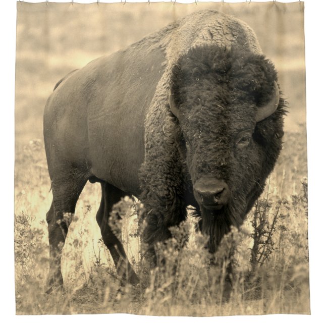 Buffalo Shower Curtain (Front)