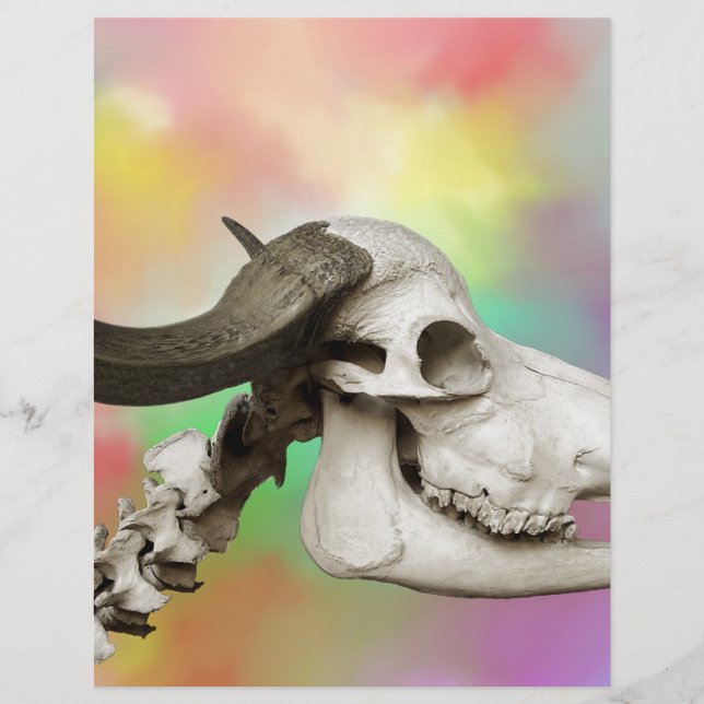 Buffalo Skull on a Watercolor Background (Front)