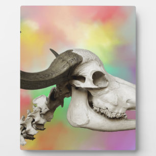 Buffalo Skull on a Watercolor Background Plaque