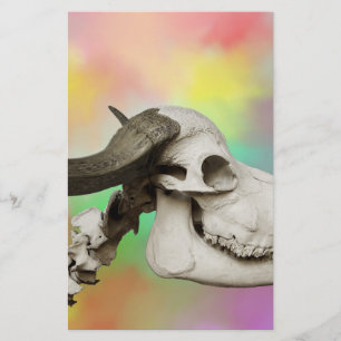 Buffalo Skull on a Watercolor Background Stationery