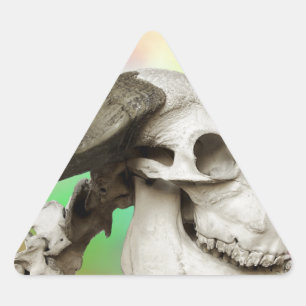 Buffalo Skull on a Watercolor Background Triangle Sticker