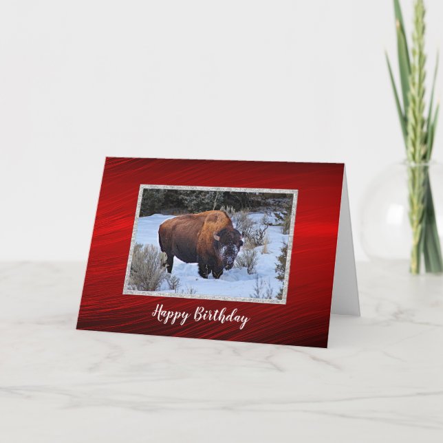 Buffalo Snow Photo Birthday Card (Front)