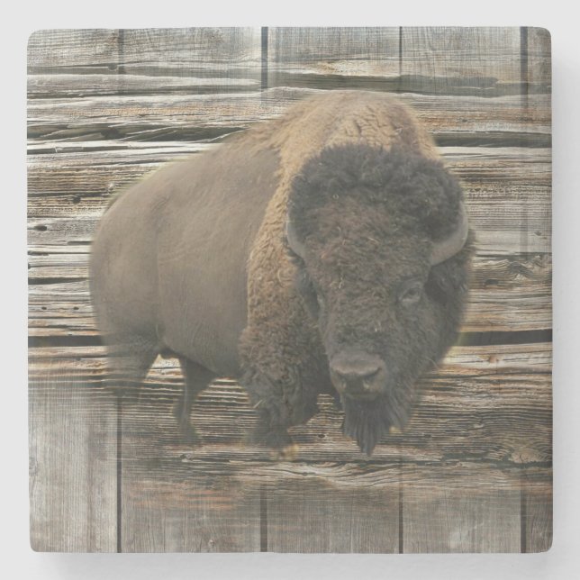 Buffalo Stone Coaster (Front)
