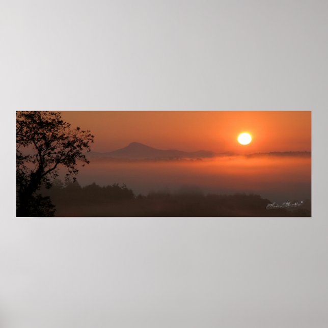 Buffalo Sunrise Poster (Front)