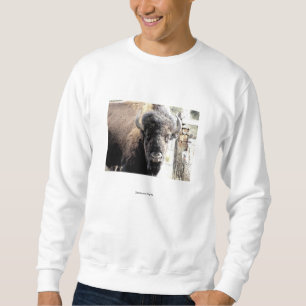 Buffalo Sweatshirt