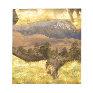 Buffaloe Sand Dunes Notepad