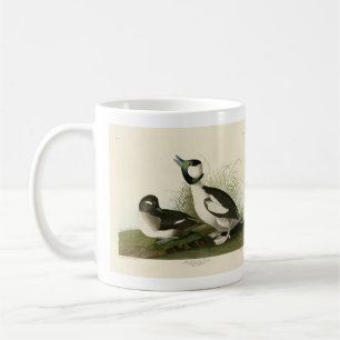 Buffel-headed Duck from Audubon's Birds of America Coffee Mug