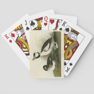 Buffel-headed Duck from Audubon's Birds of America Playing Cards