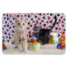 Buffington and Patton's Birthday Cat / Kitten