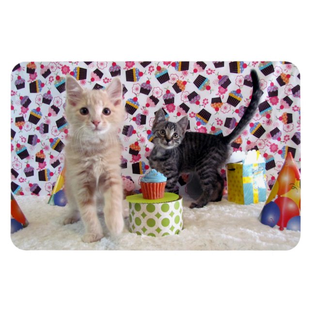 Buffington and Patton's Birthday Cat / Kitten Magnet (Horizontal)