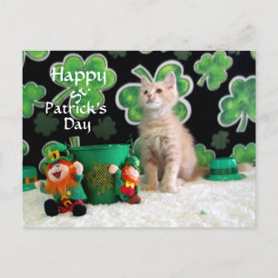 Buffington's St. Patrick's Day Cat / Kitten Postcard