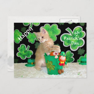 Buffington's St. Patrick's Day Postcard - Cat