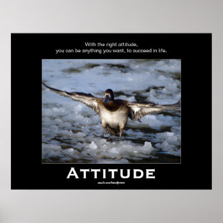 Bufflehead Duck Attitude  Motivational Posters