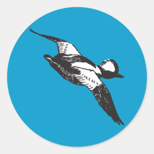 Bufflehead Sketch Classic Round Sticker