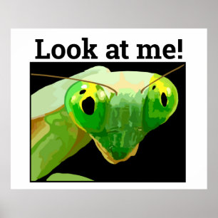 BUG 3 POSTER