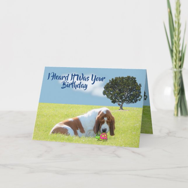 Bug & Basset On Funny & Cute Birthday Card (Front)
