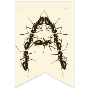 Bug Birthday - Insect Birthday  Bunting
