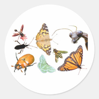 Bug Collage ~ sticker