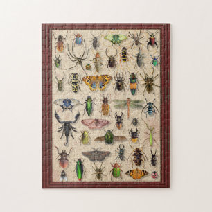 Bug Collection Insects Fun Entomology Jigsaw Puzzle