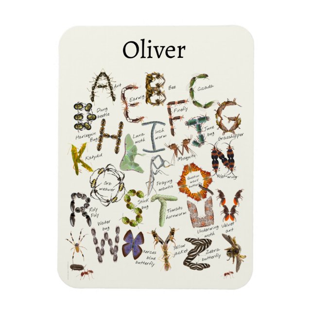 Bug Decor - Bug Alphabet for kids Magnet (Vertical)