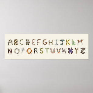 Bug Decor Insect or Bug Alphabet Educational