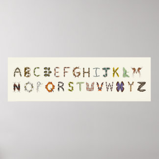 Bug Decor Insect or Bug Alphabet Educational 
