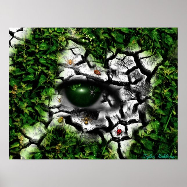 Bug- Eye Poster (Front)