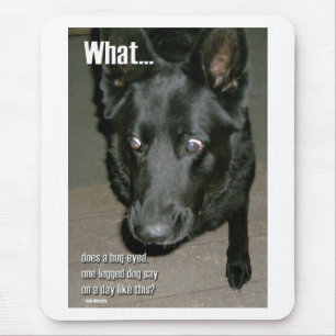 Bug-eyed dog mouse mat