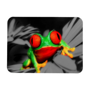 Bug-Eyed Frog Magnet