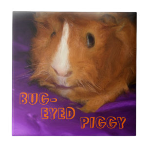 BUG-EYED PIGGY Guinea Pig Tile