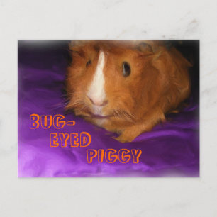 BUG-EYED PIGGY Postcard